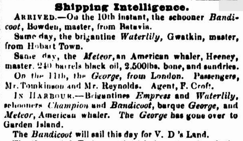 Shipping Intelligence.
ARRIVED.— On the 10th instant, the schooner Bandicoot, Bowden, master, from Batavia.
Same day, the brigantine Waterlily, Gwatkin, master, from Hobart Town.
Same day, the Meteor, an American whaler, Heeney, master. 240 barrels black oil, 2,500lbs. bone, and sundries.
On the 14th, the George, from London. Passengers, Mr. Tomkinson and Mr. Reynolds. Agent, F. Croft.
IN HARBOUR. — Brigantines Empress and Waterlily, schooners Champion and Bandicoot, barque George, and Meteor, American whaler. The George has gone over to Garden Island.
The Bandicoot will sail this day for V. D 's Land.